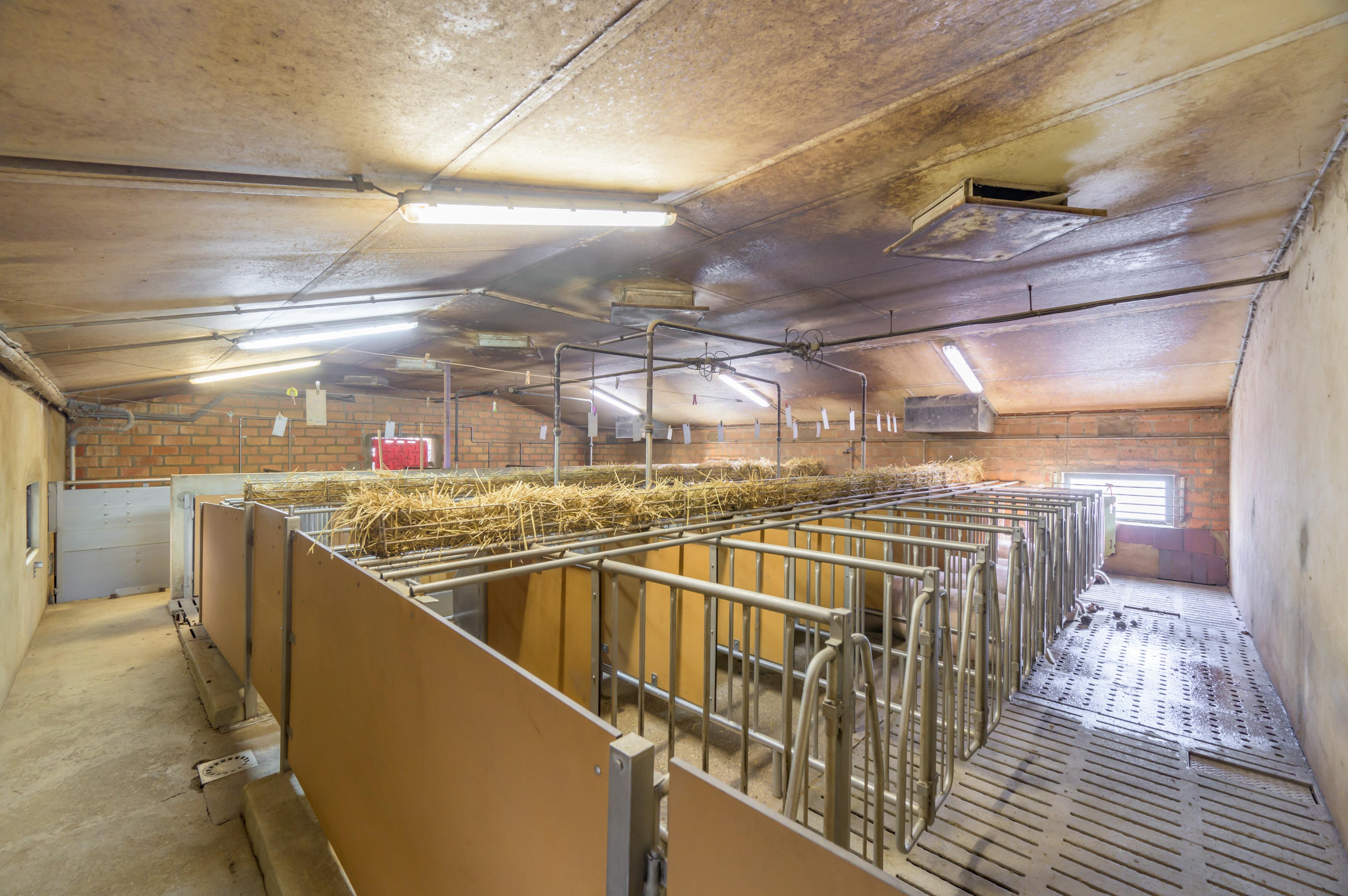 Domaine agricole avec porcherie sur 2 sites - Image# 5