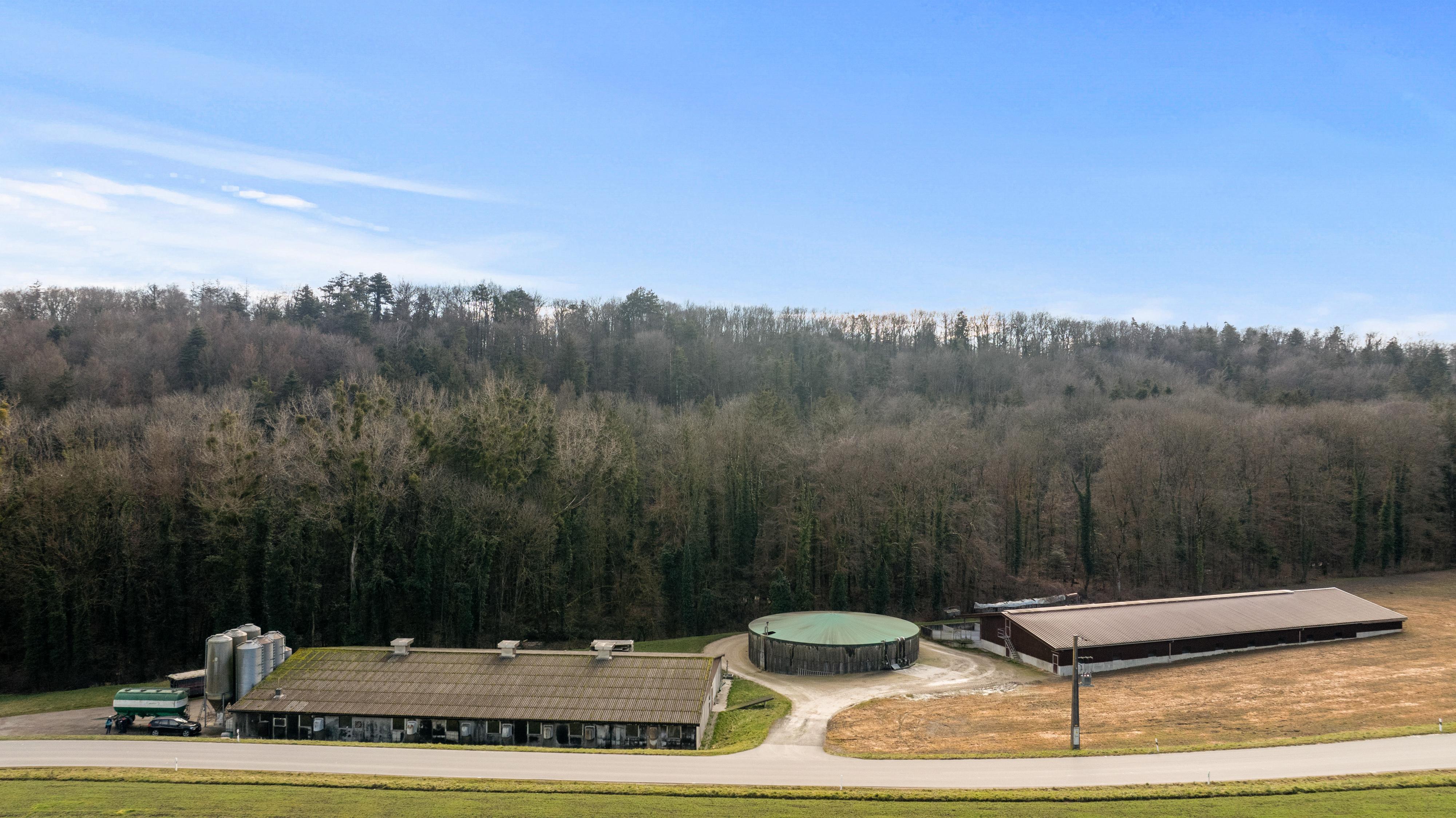 Landwirtschaftlichesbetrieb (20 ha) mit Zuchtschweineställe (280 GVE an 2 Standorten) - Image# 9